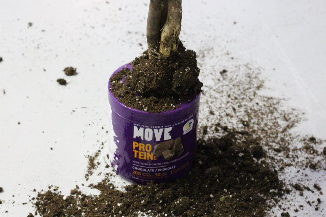 Communiqué de presse – 1er février 2019